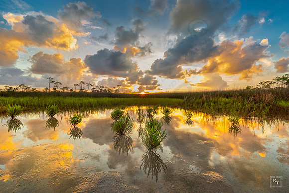 St. Marks National Wildlife Refuge