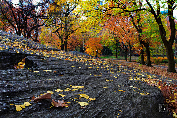 Central Park