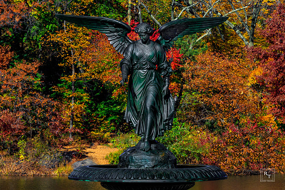 Central Park