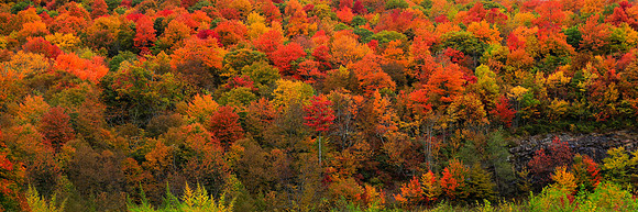 Cherohala Skyway, North Carolina - *Contact for price