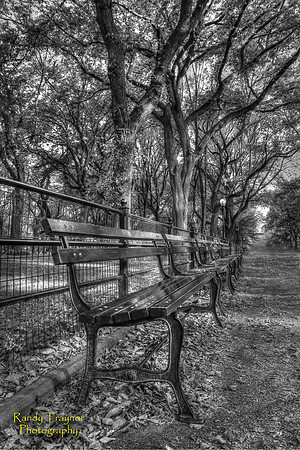 Central Park