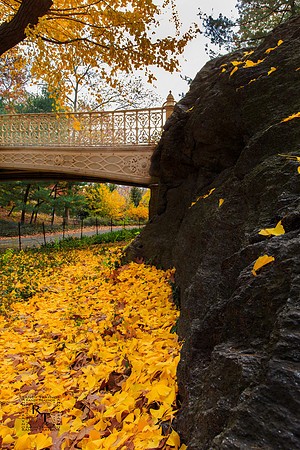 Central Park