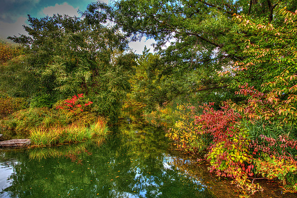 Central Park