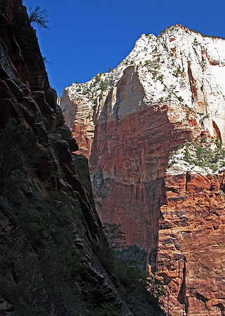 The Great White Throne - Zion National Park