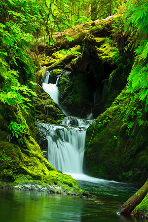 Olympic National Park
