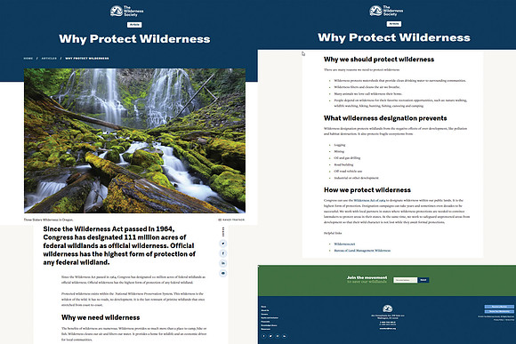 Wilderness Society 2022 used my Proxy Falls picture