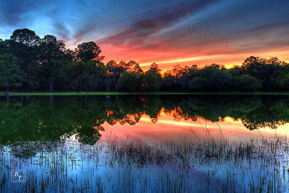 Evening Colors - Tallahassee, FL
