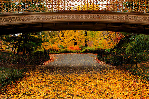 Central Park