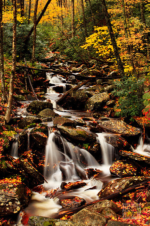 Smoky Mountain NP