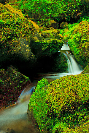 Olympic National Park
