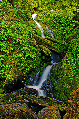 Olympic National Park